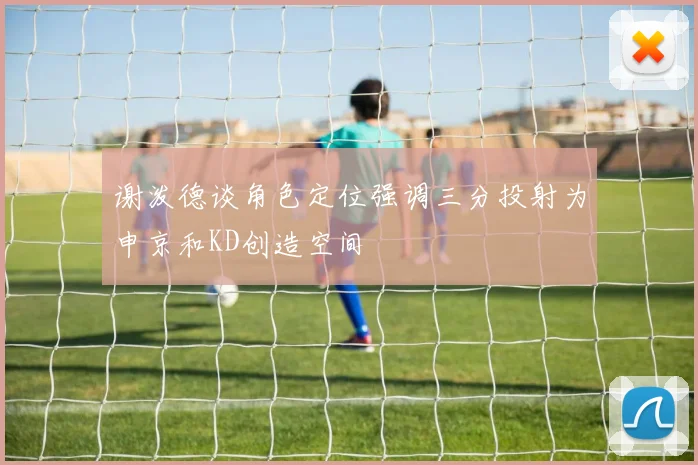 谢泼德谈角色定位强调三分投射为申京和KD创造空间