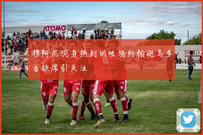 穆阿尼现身热刺训练场约翰逊乌多吉缺席引关注