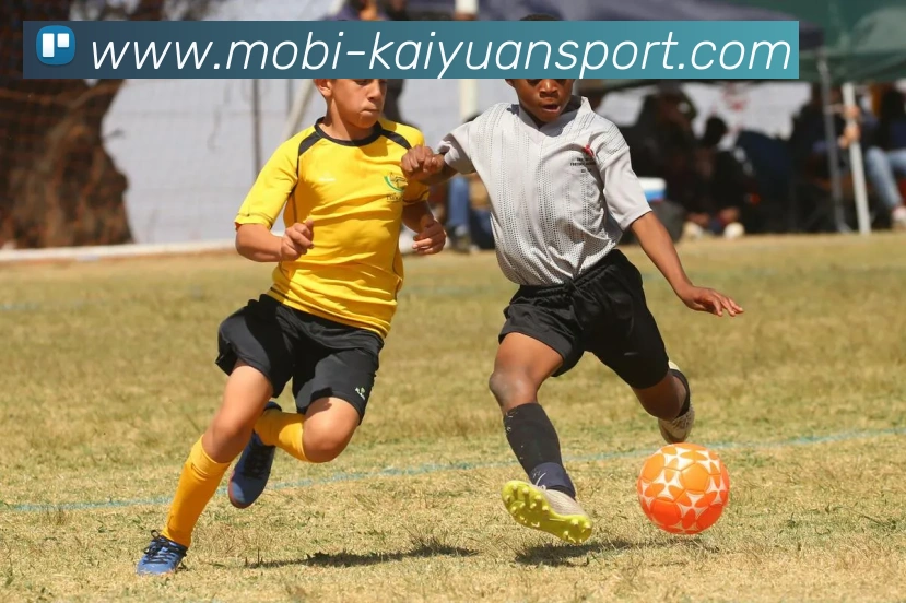 开元体育APP 封面图